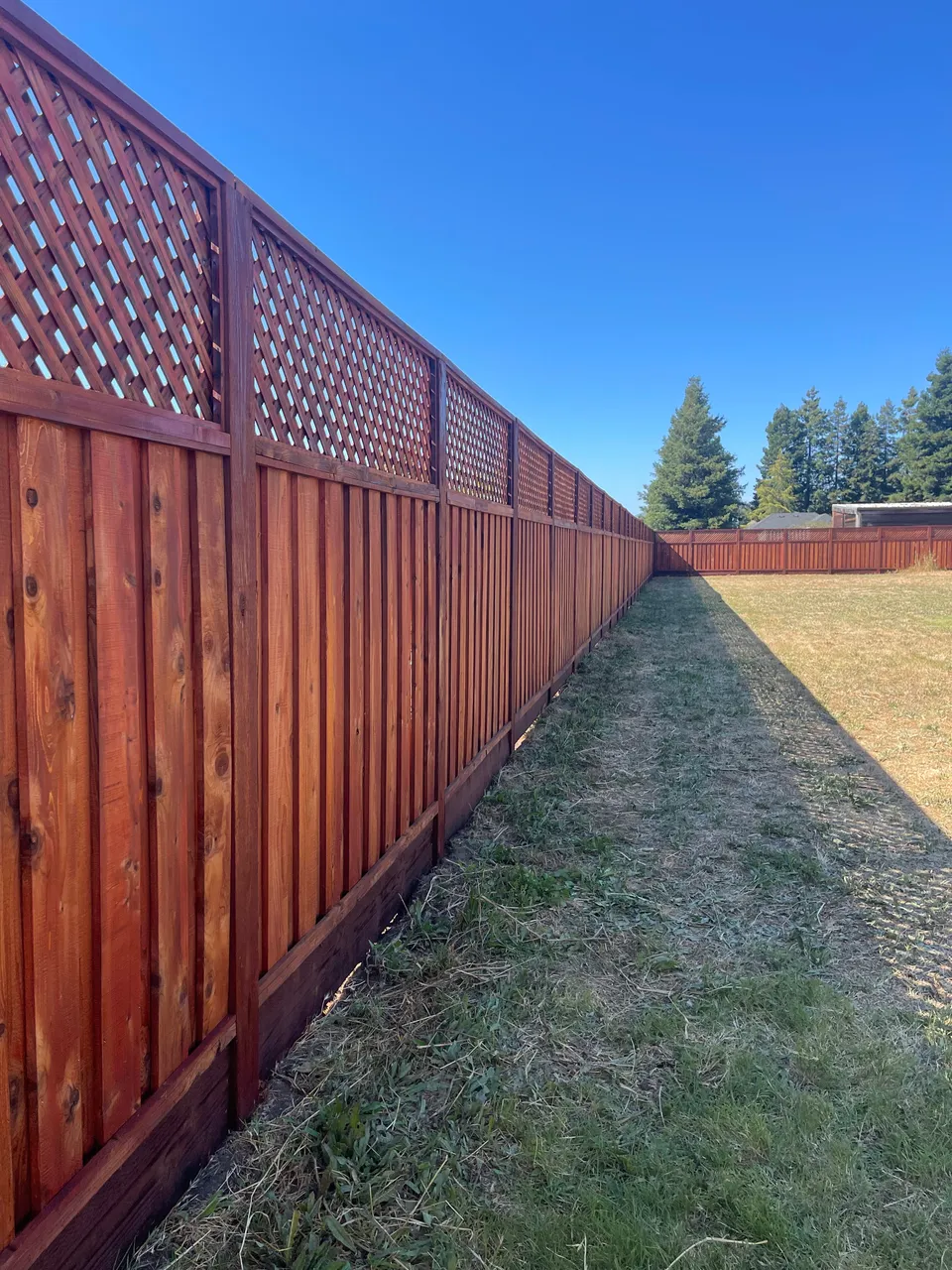 Wood Staining & Restoration
